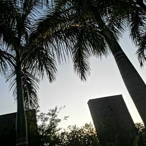 Meet your Posher, Ng